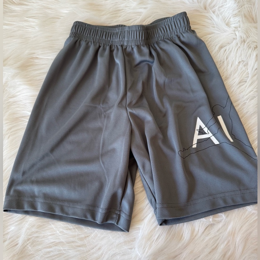 Jordan Silver Elastic Shorts